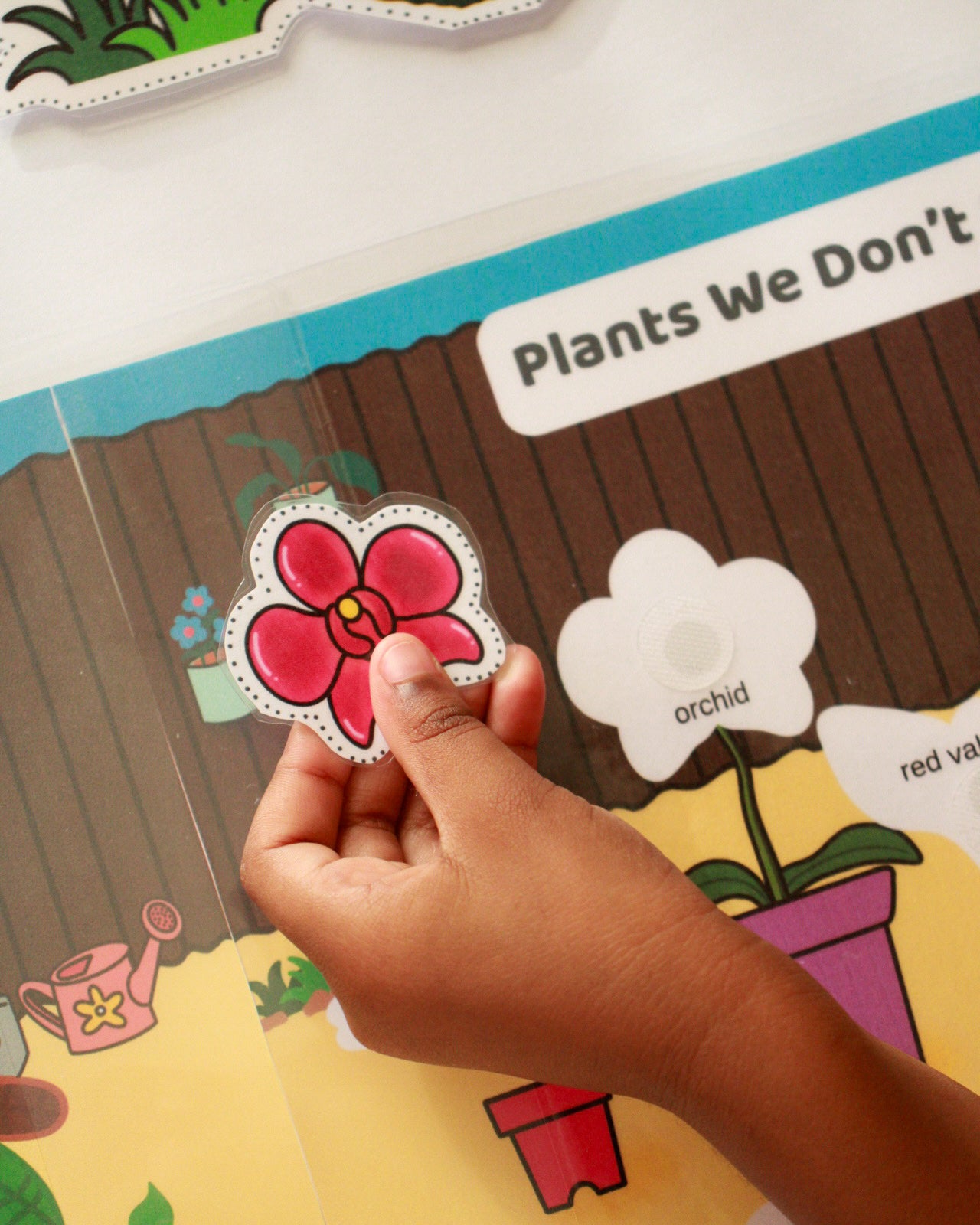 Lola’s Little Garden | Plants We Eat & Do Not Eat Printable Hands-On Activity for Agricultural Science