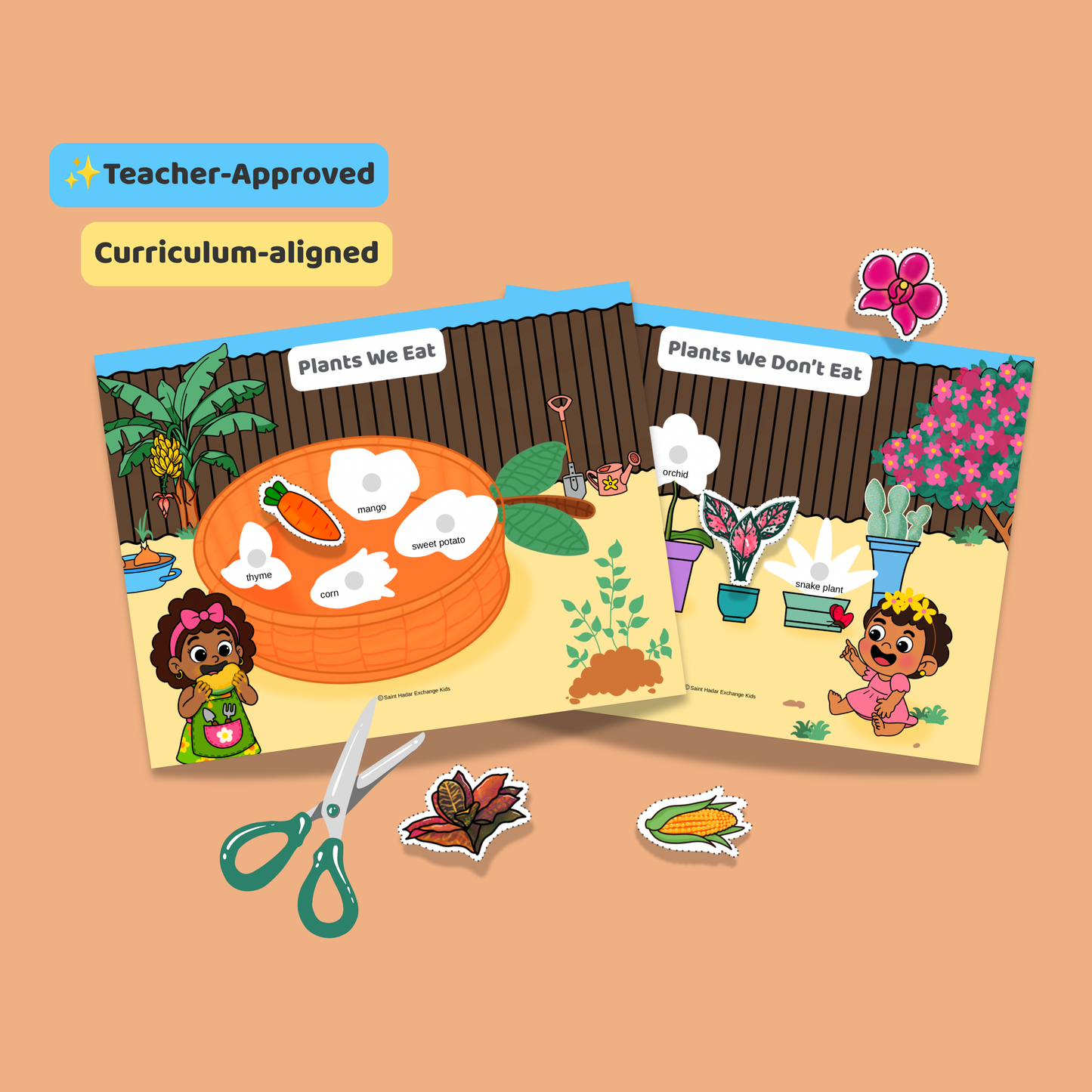 Lola’s Little Garden | Plants We Eat & Do Not Eat Printable Hands-On Activity for Agricultural Science