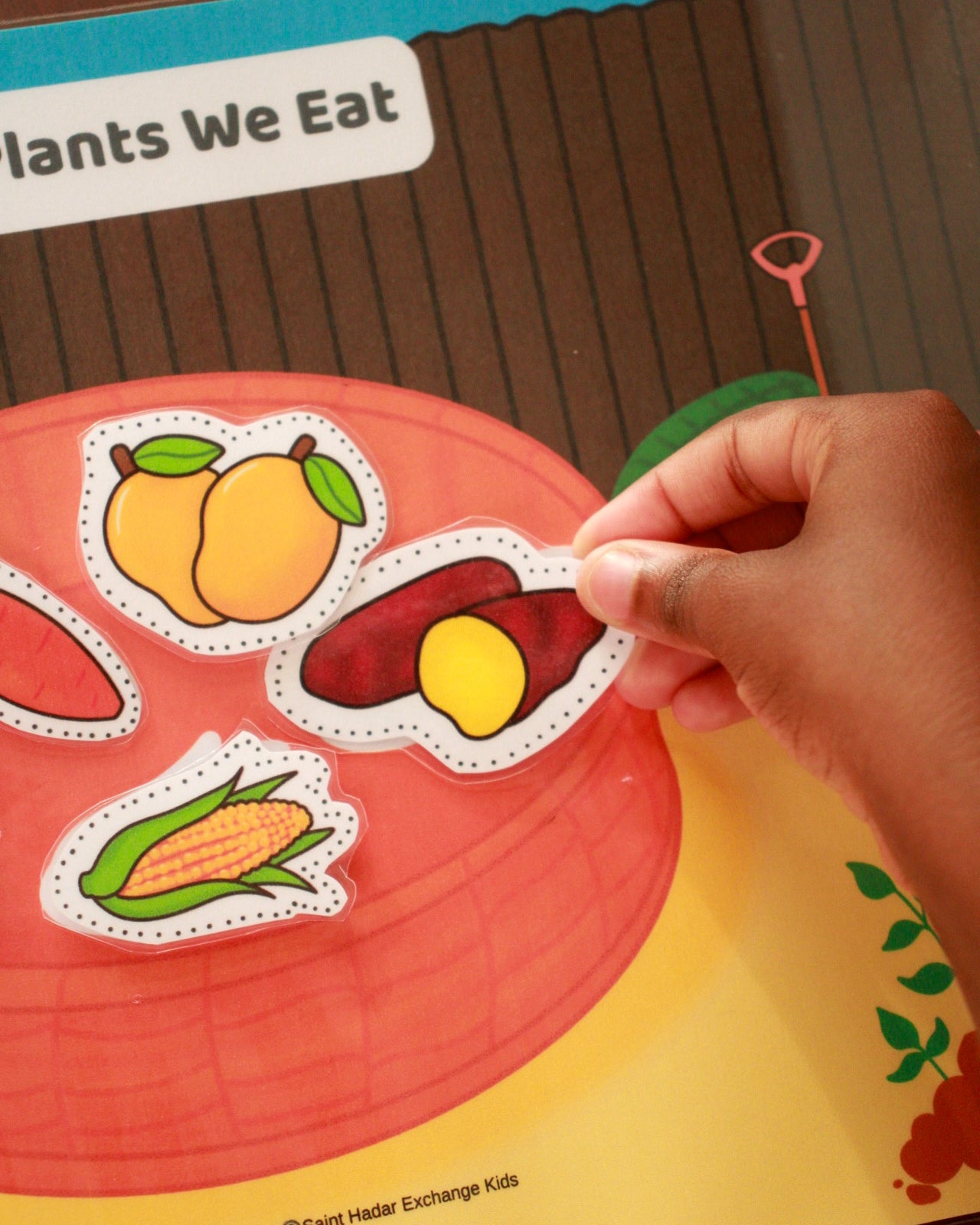 Lola’s Little Garden | Plants We Eat & Do Not Eat Printable Hands-On Activity for Agricultural Science