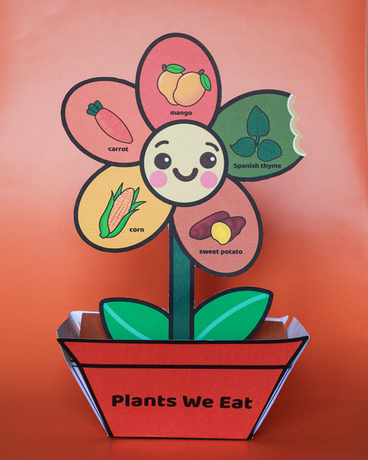 Plants We Eat & Plants We Do Not Eat | 3D Learning Flower Craft