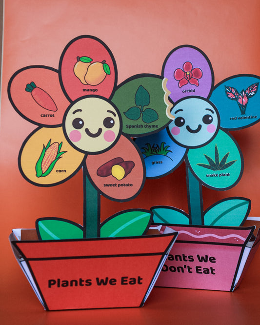 Plants We Eat & Plants We Do Not Eat | 3D Learning Flower Craft